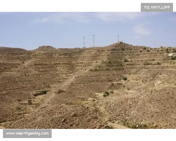 突尼斯甲级联赛加贝斯主场草皮铺设完成顺利通过非足联验收