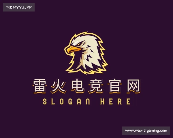 了解雷火电竞官网